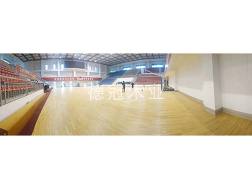 籃球館1 籃球館1